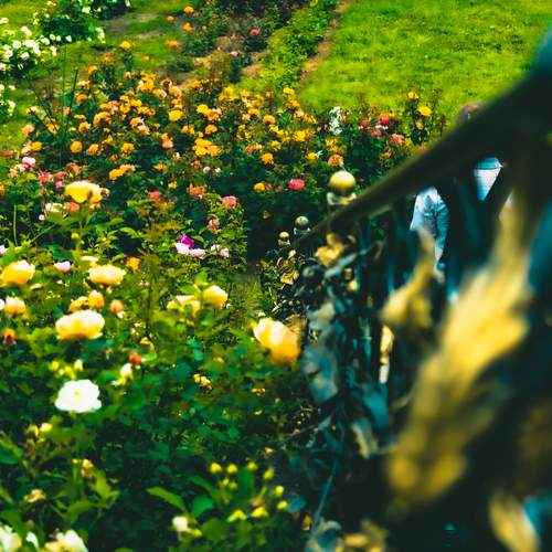 Photo #12508852
