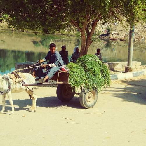 Photo #12508878