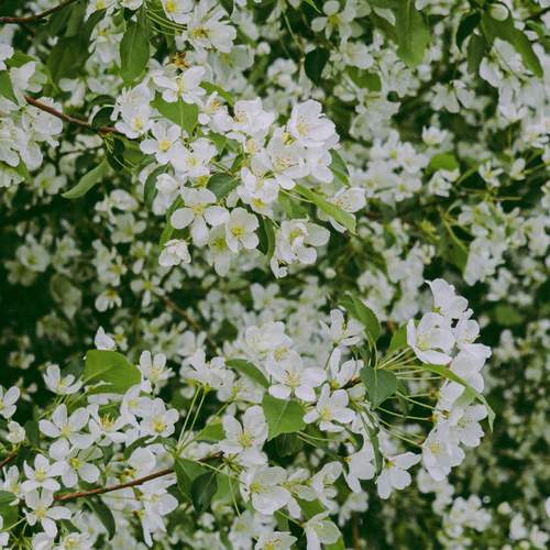 Photo #12508881