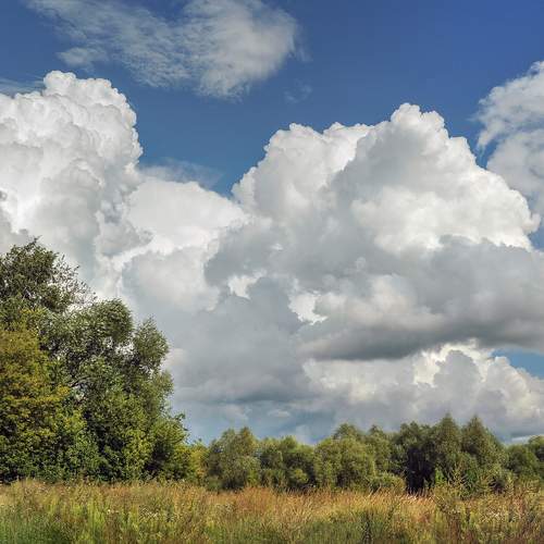 Photo #12508930