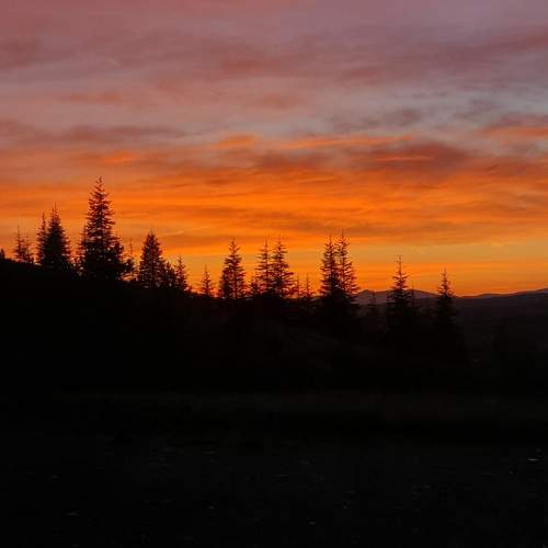 Photo #12508966