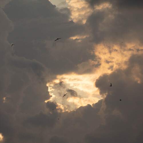 Photo #12509130