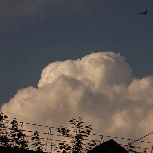 Photo #12509132