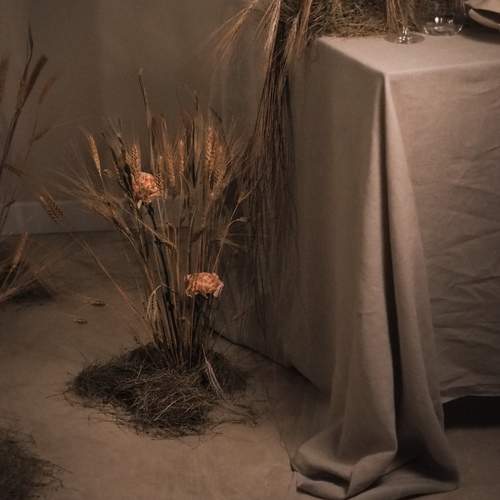 Photo #12509179
