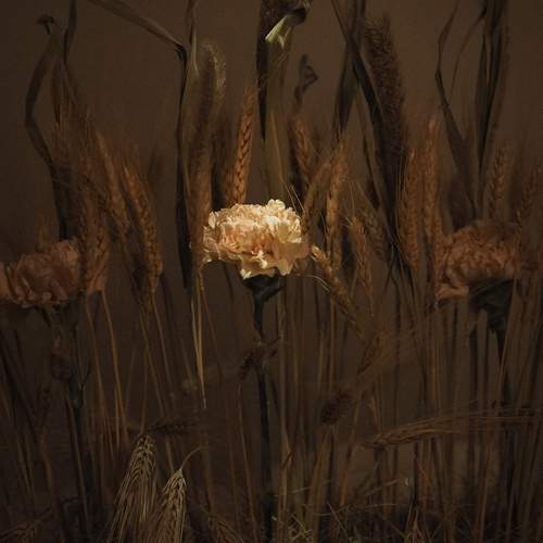 Photo #12509180