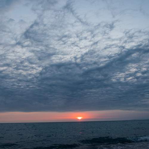 Photo #12509199