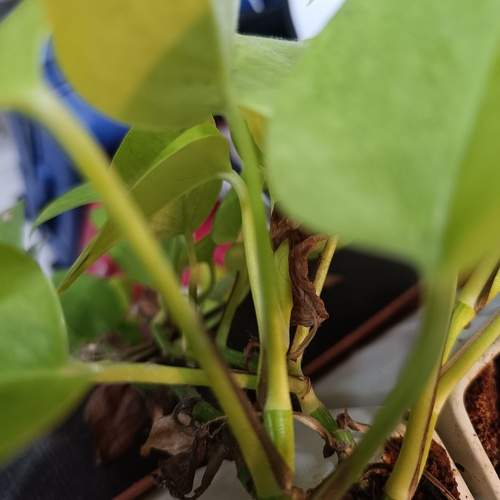 Photo #12509209