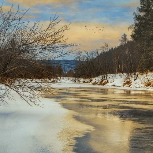 Photo #12509419