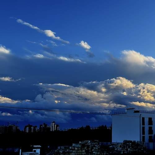 Photo #12509458