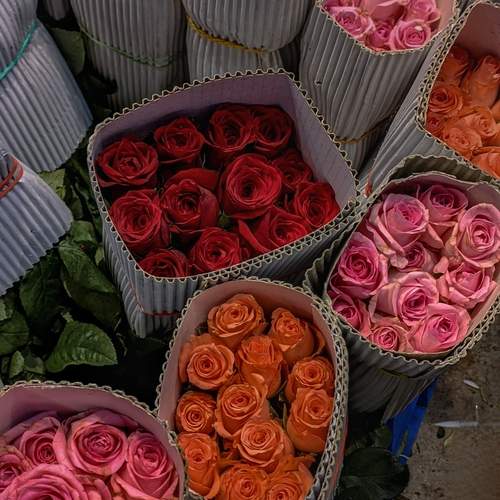 Photo #12509481