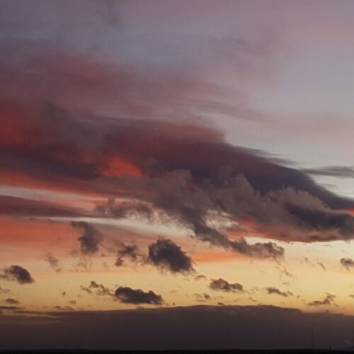 Photo #12509492