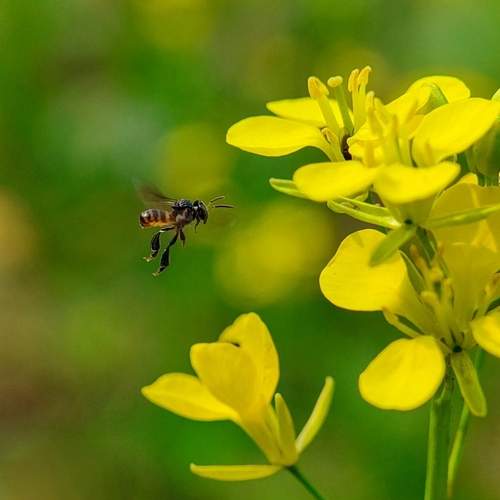 Photo #12509508