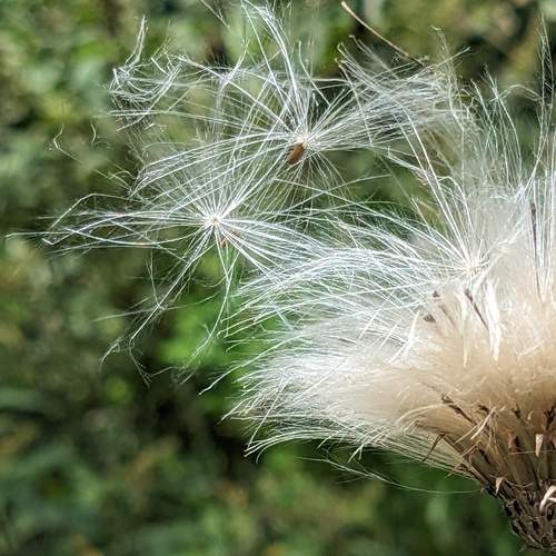 Photo #12509575