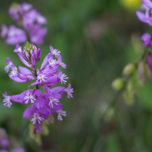 Photo #12509587