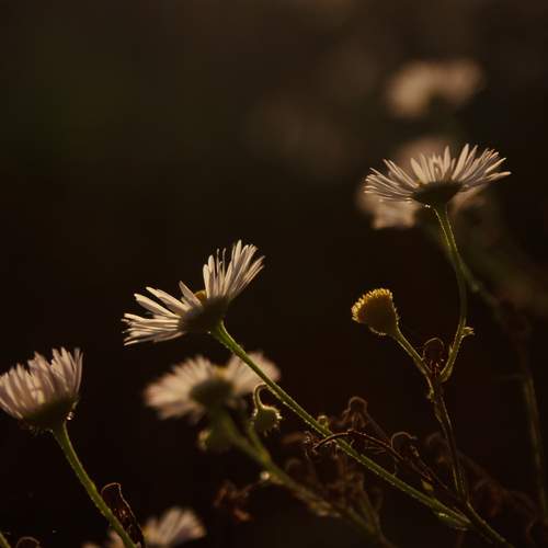 Photo #12509607