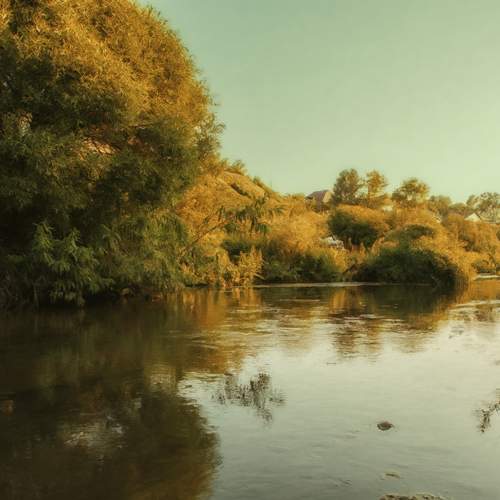 Photo #12509624