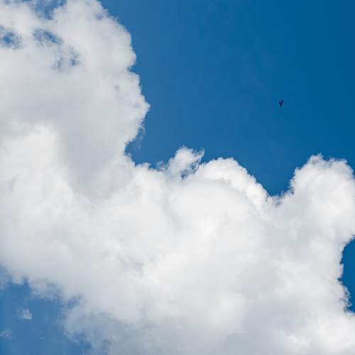 Photo #12509632