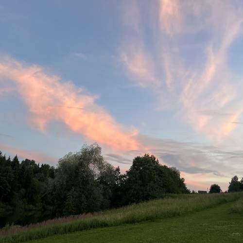 Photo #12509652