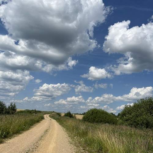 Photo #12509654