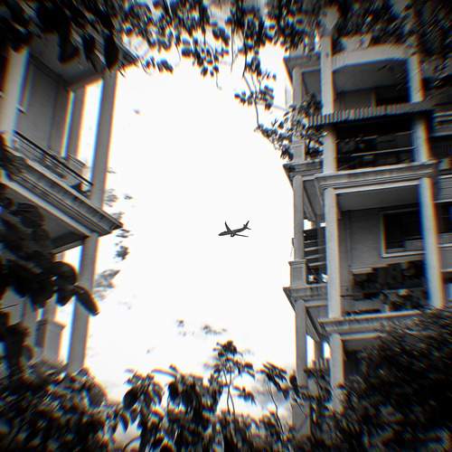 Photo #12509674