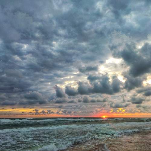 Photo #12509714