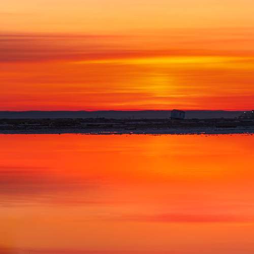 Photo #12509739