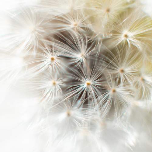 Photo #12509760