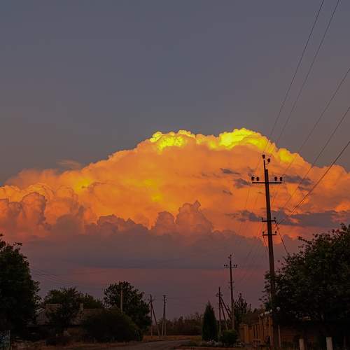 Photo #12509792