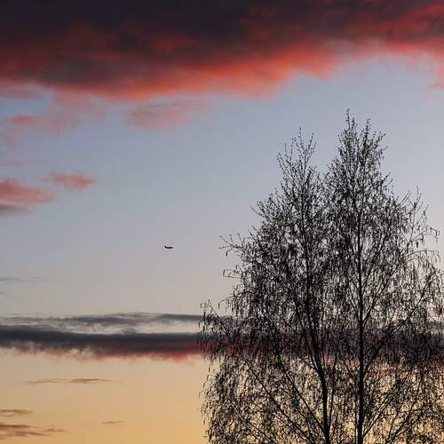Photo #12509922