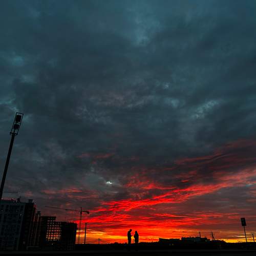 Photo #12509996