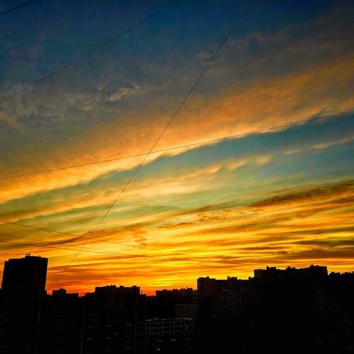 Photo #12510075