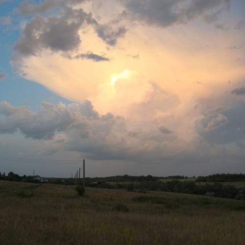 Photo #12510132