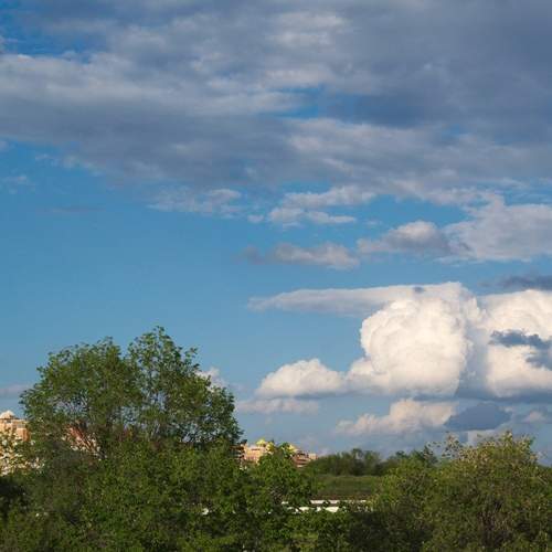 Photo #12510135