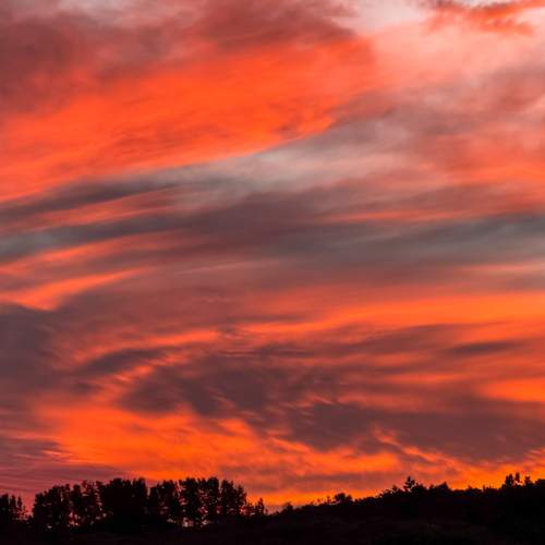 Photo #12510165