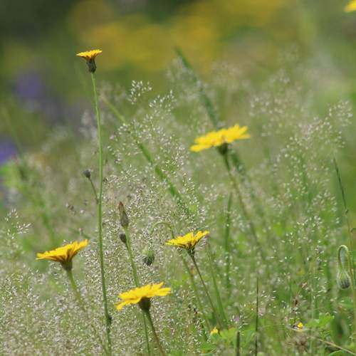 Photo #12510228