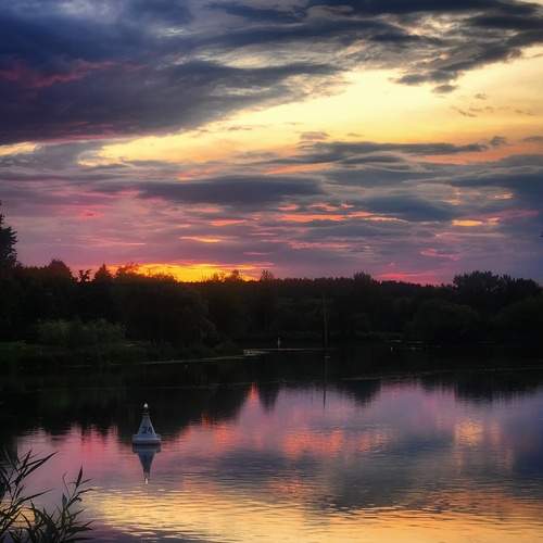 Photo #12510326