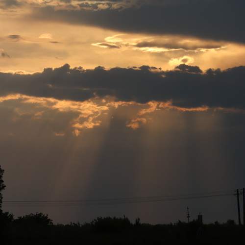 Photo #12510339