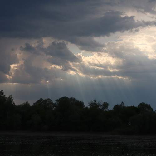 Photo #12510341