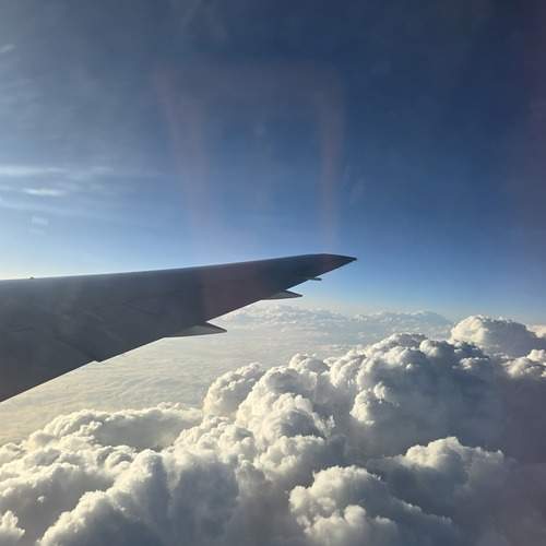 Photo #12510417