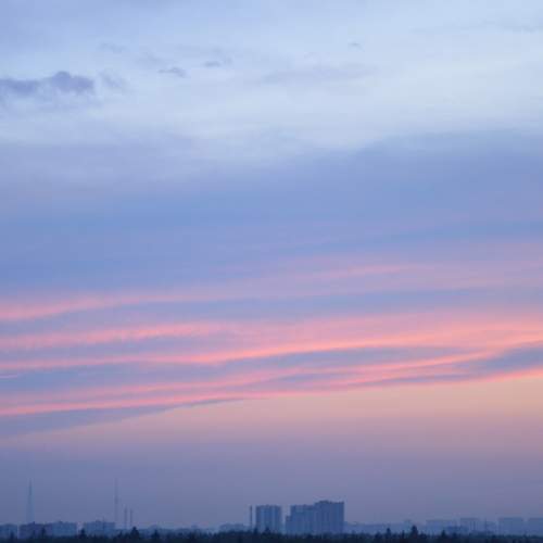 Photo #12510430