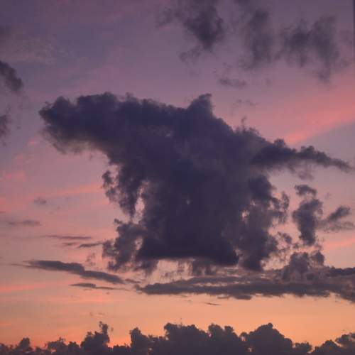 Photo #12510431