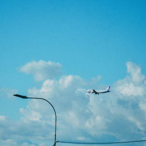 Photo #12510432