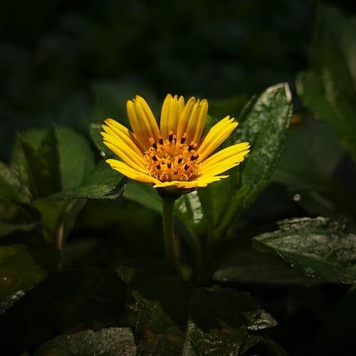Photo #12510560