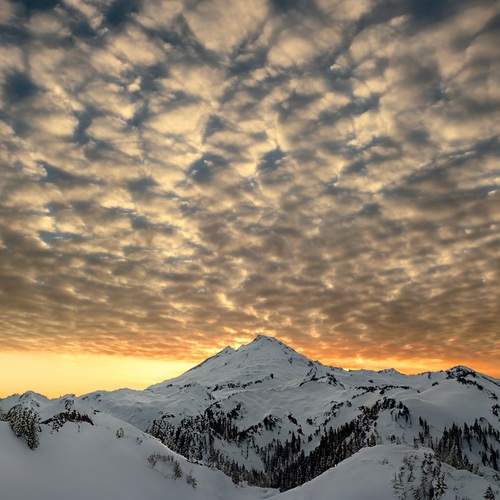 Photo #12510835