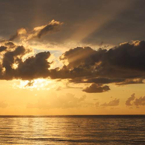 Photo #12510913