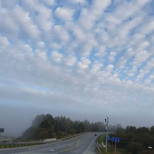 Photo #12510993