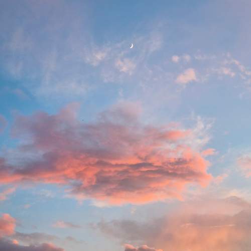 Photo #12511054