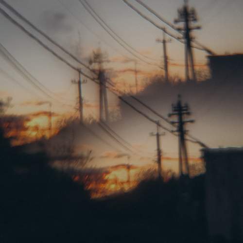Photo #12511055