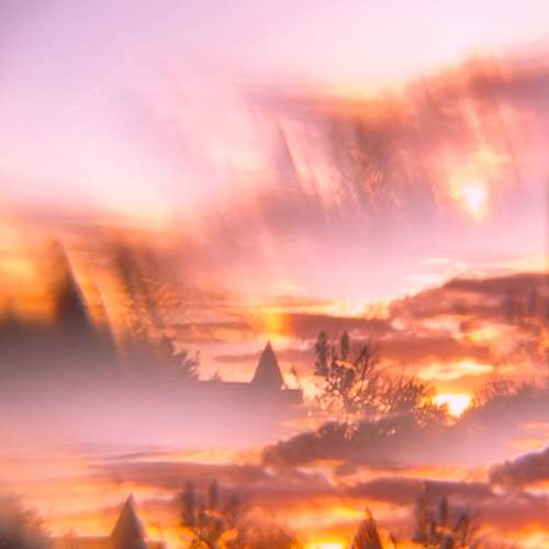 Photo #12511056