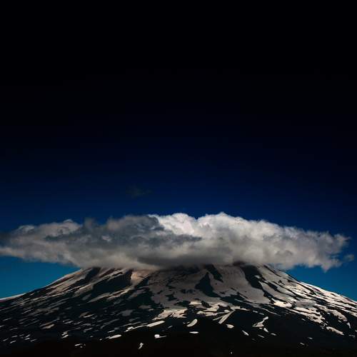 Photo #12511068